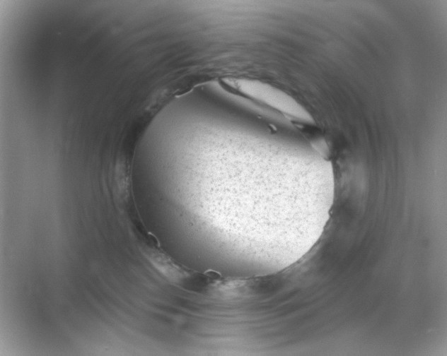 X0000068720186200605051442