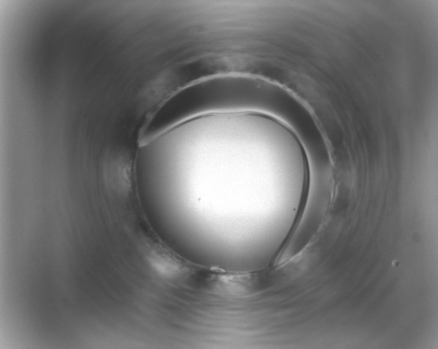 X0000068720188200605051443