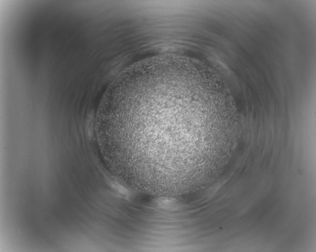 X0000068720189200605051443