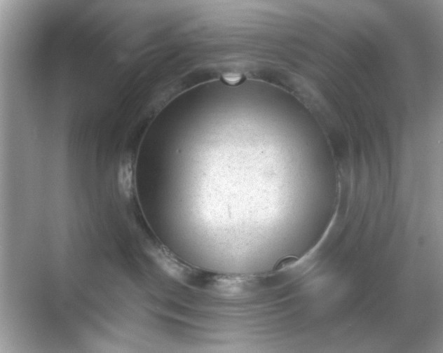 X0000068720190200605051443