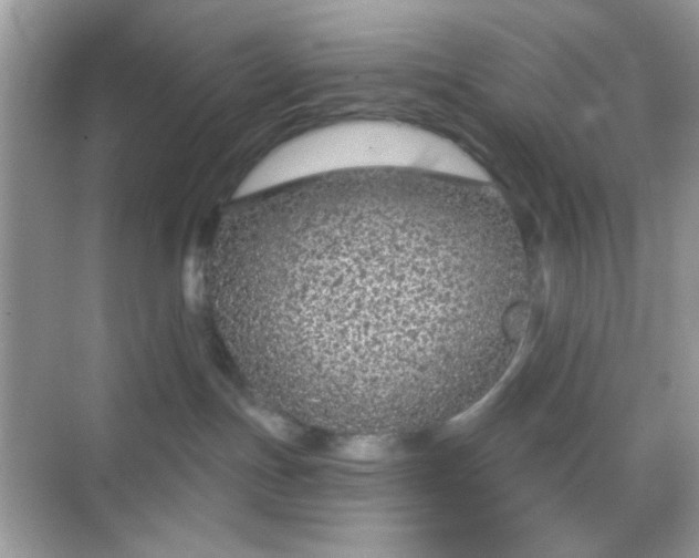 X0000068720191200605051443