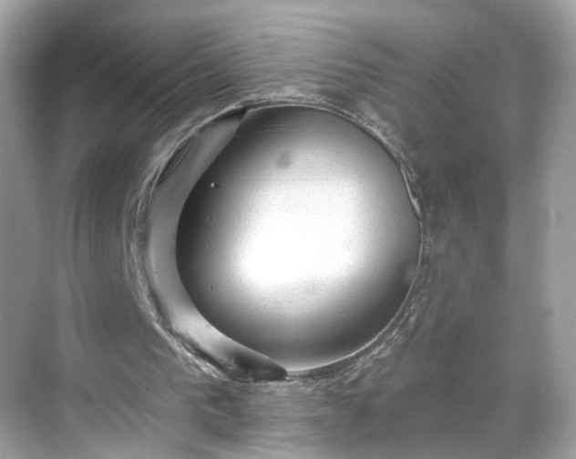 X0000068720193200605051442