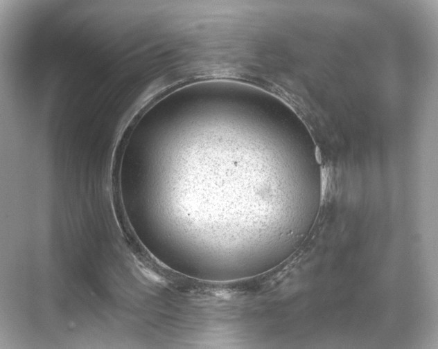 X0000068720195200605051442