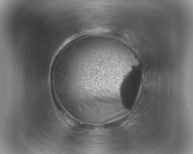 X0000068720196200605051442