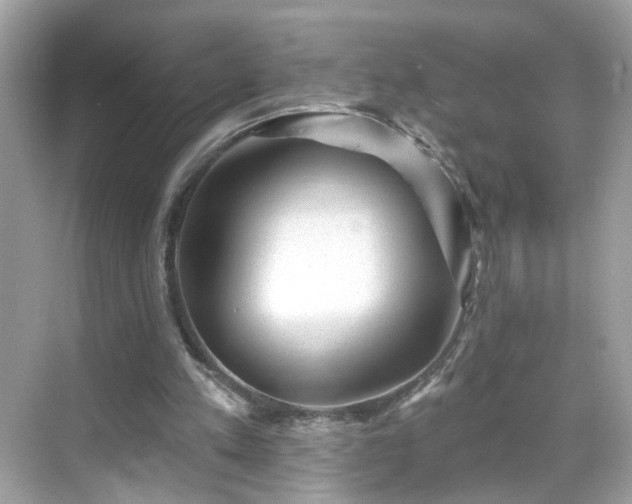 X0000068720197200605051442