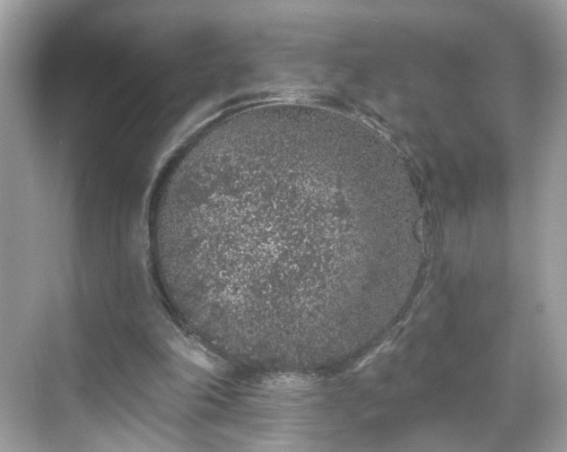 X0000068720198200605051442