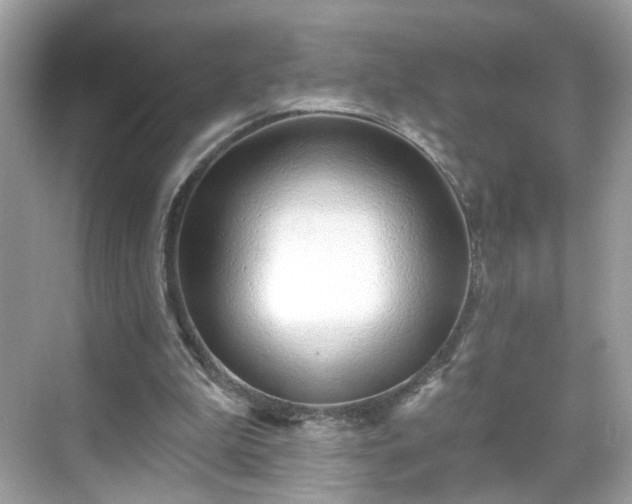 X0000068720199200605051442