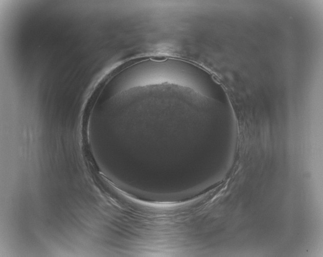 X0000068720200200605051442