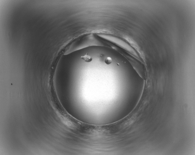 X0000068720201200605051442