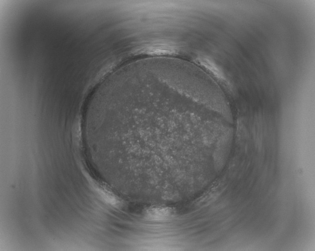 X0000068720202200605051442