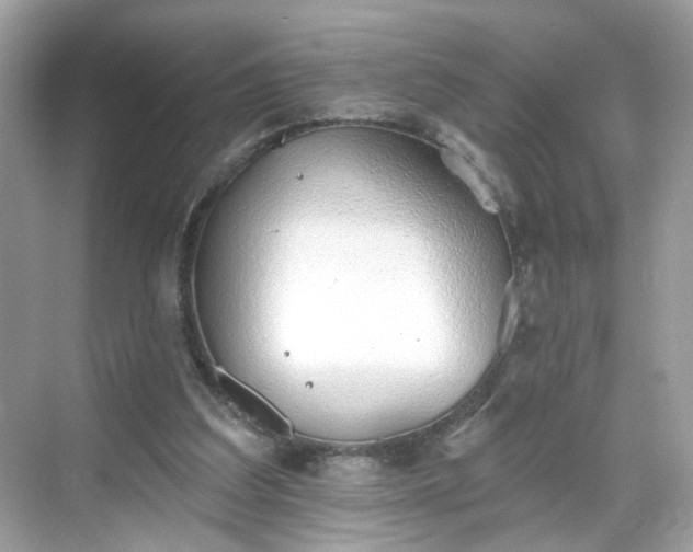 X0000068720203200605051442