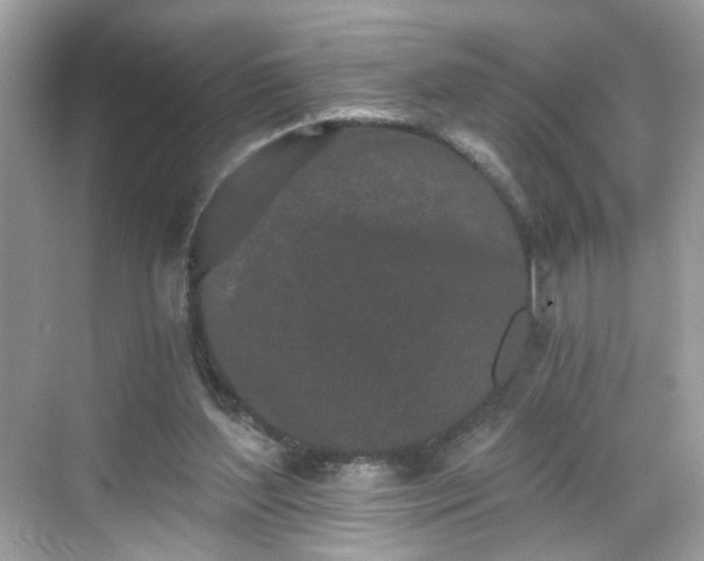 X0000068720204200605051442