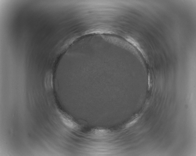 X0000068720205200605051442