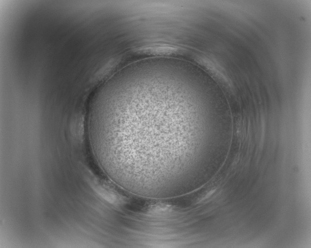 X0000068720206200605051442