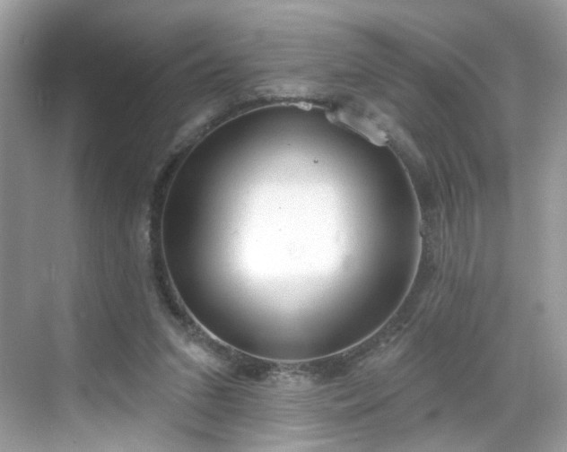 X0000068720207200605051442