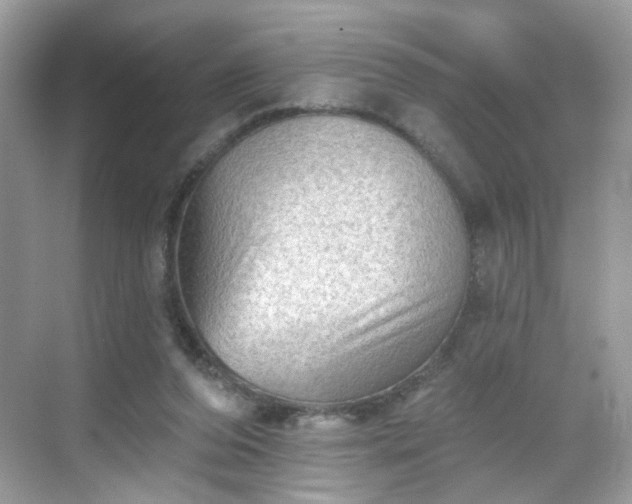 X0000068720208200605051442