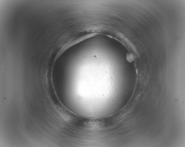 X0000068720209200605051442