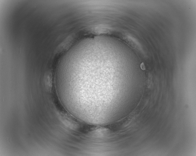 X0000068720210200605051441