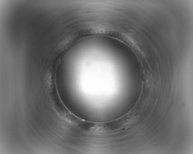 X0000068720211200605051441