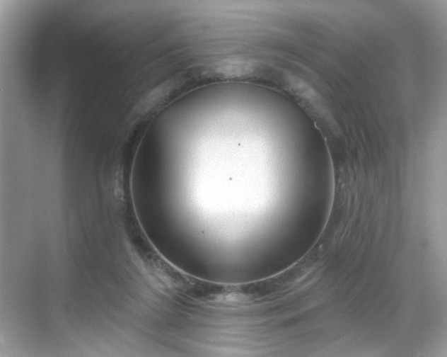 X0000068720212200605051441