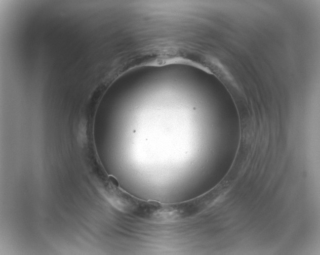 X0000068720213200605051441