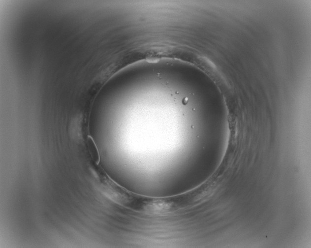 X0000068720217200605051441