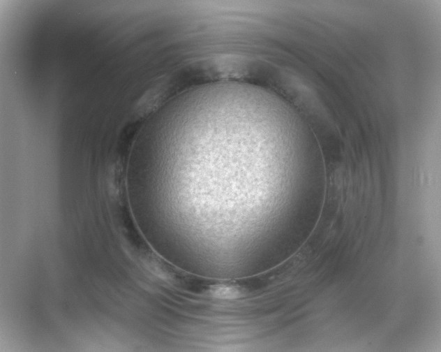 X0000068720218200605051441