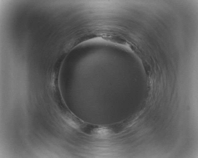 X0000068720219200605051441