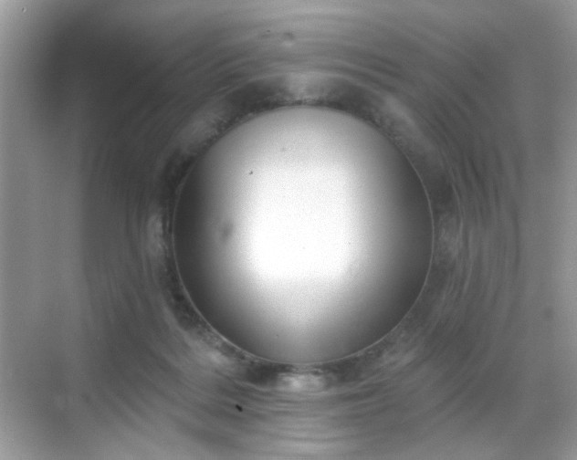 X0000068720220200605051441