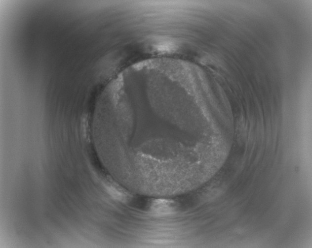 X0000068720222200605051441