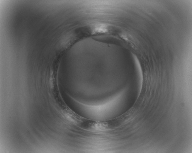 X0000068720223200605051441