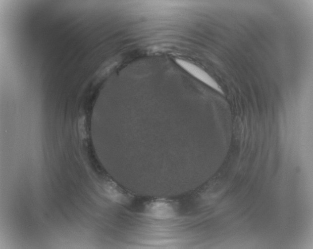 X0000068720224200605051441