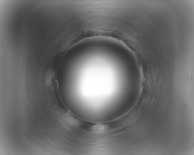 X0000068720225200605051441