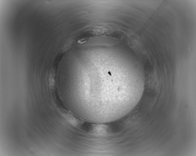 X0000068720226200605051441