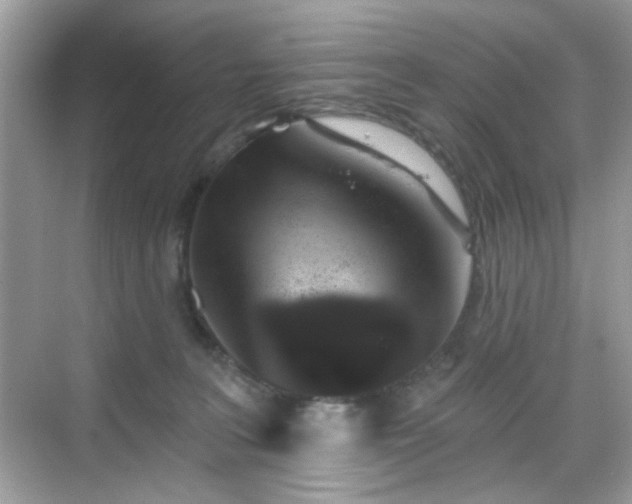 X0000068720227200605051441