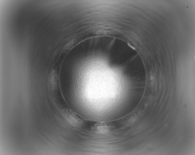 X0000068720228200605051441