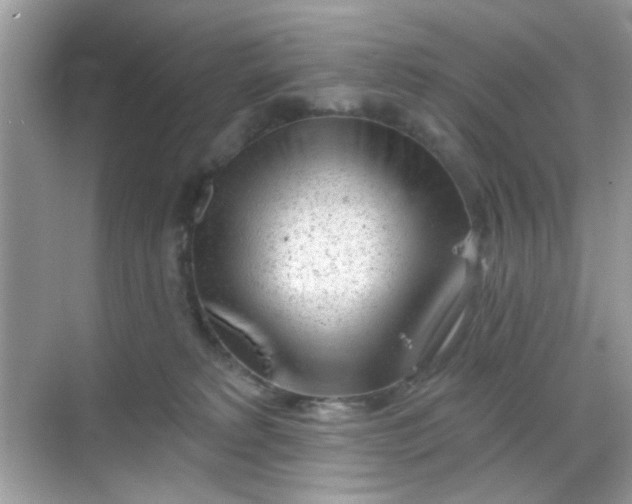 X0000068720229200605051441