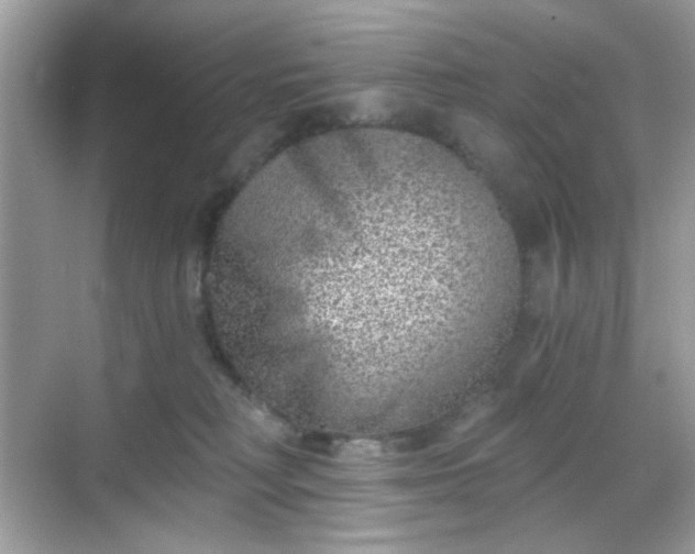 X0000068720230200605051441