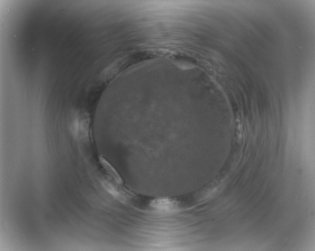 X0000068720231200605051441