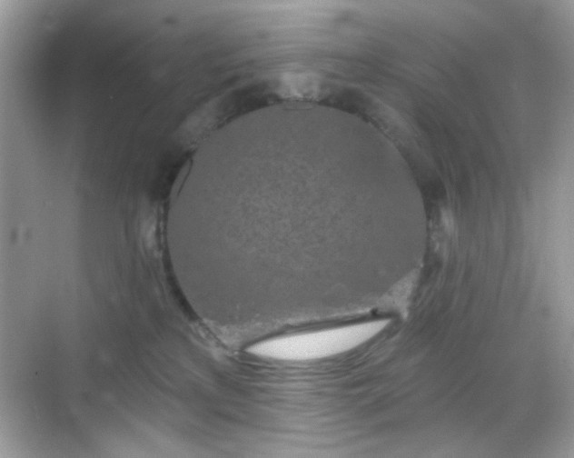 X0000068720233200605051441