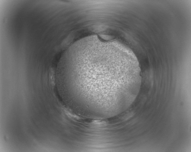 X0000068720234200605051441