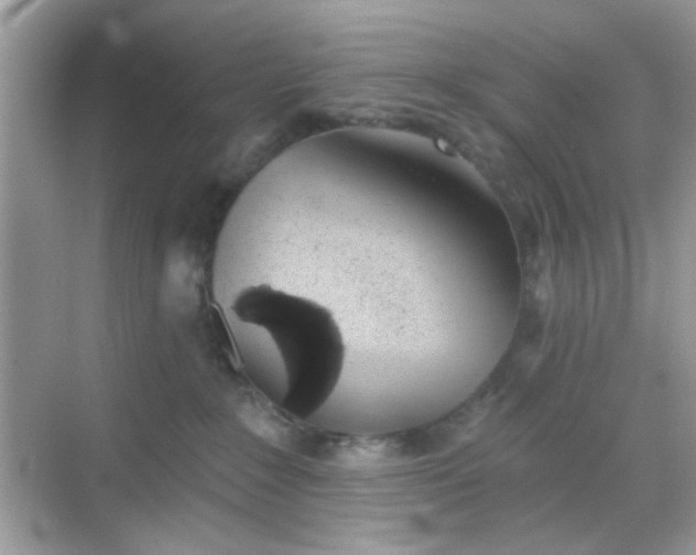 X0000068720235200605051441