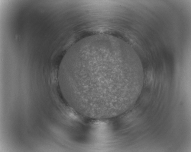 X0000068720236200605051441