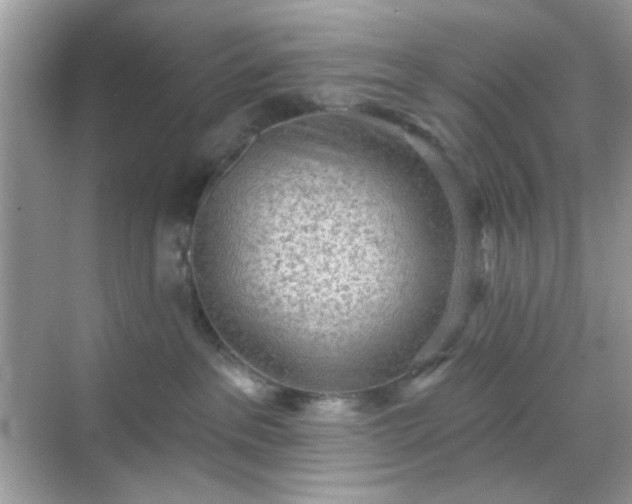 X0000068720237200605051441