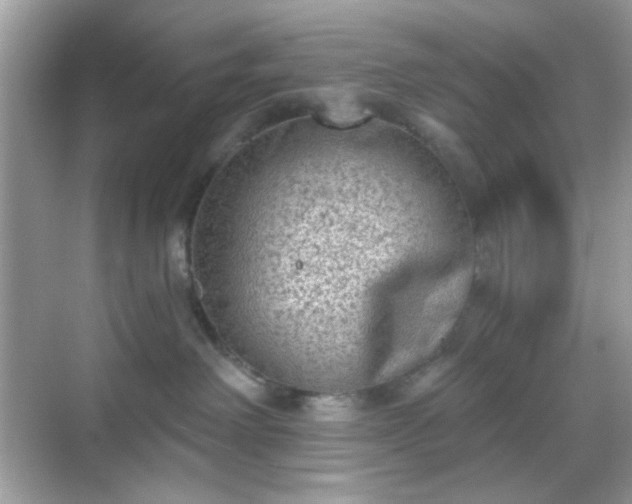 X0000068720238200605051441