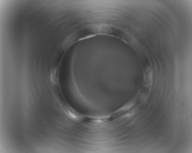 X0000068720239200605051441