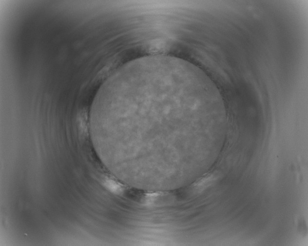 X0000068720240200605051441