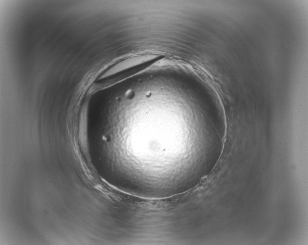 X0000068720241200605051440