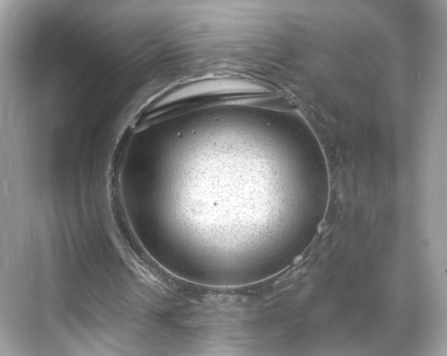 X0000068720242200605051440