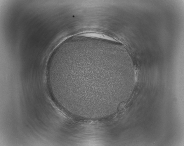 X0000068720243200605051440